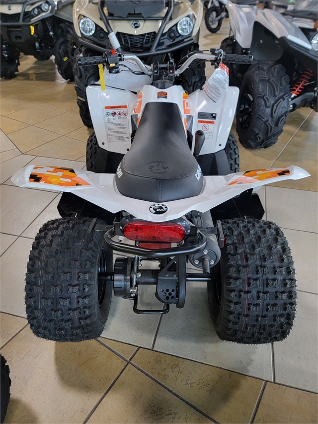 2022 Can-Am DS 90 at Sun Sports Cycle & Watercraft, Inc.