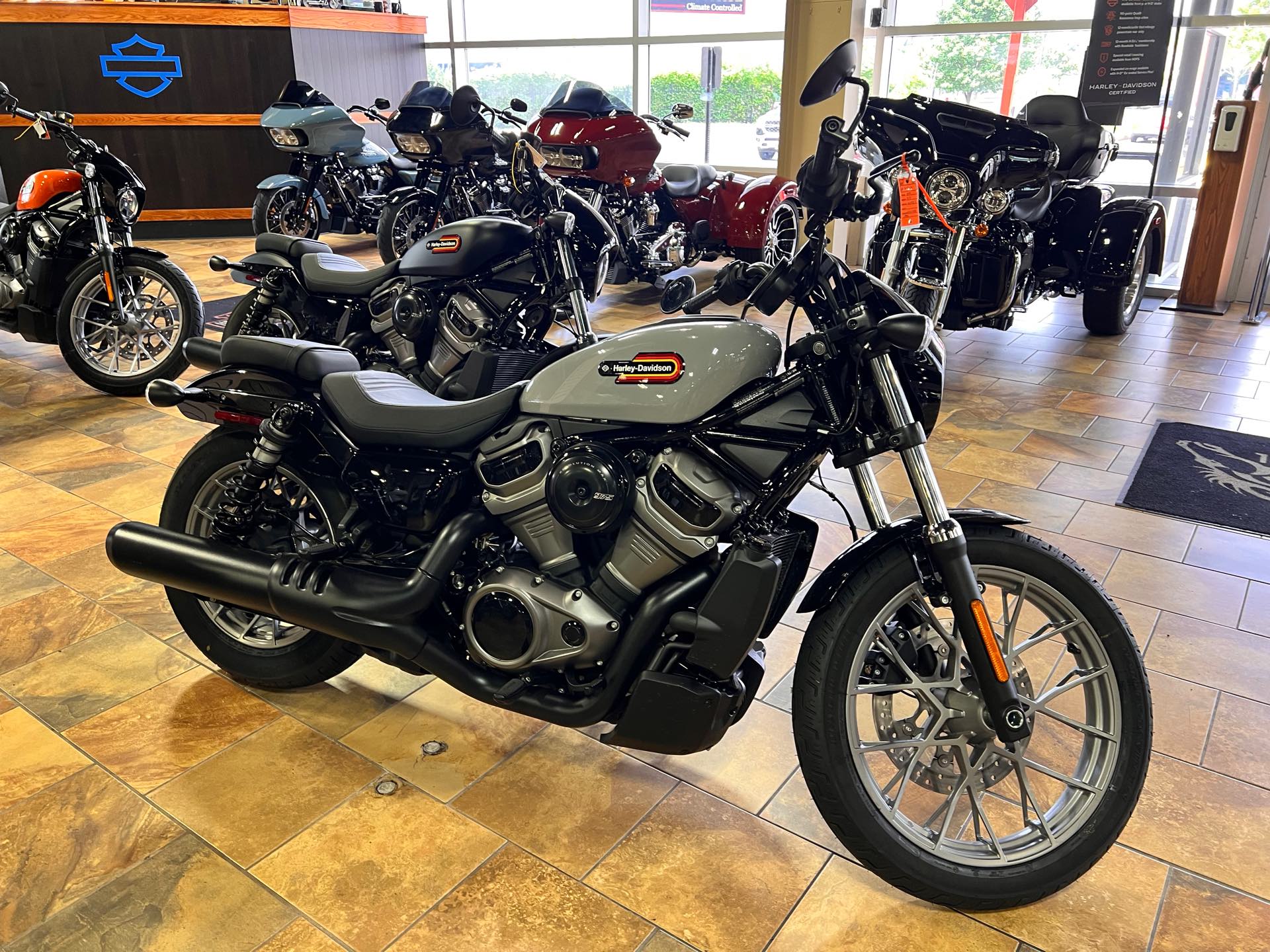 2024 Harley-Davidson Sportster at Man O'War Harley-Davidson®