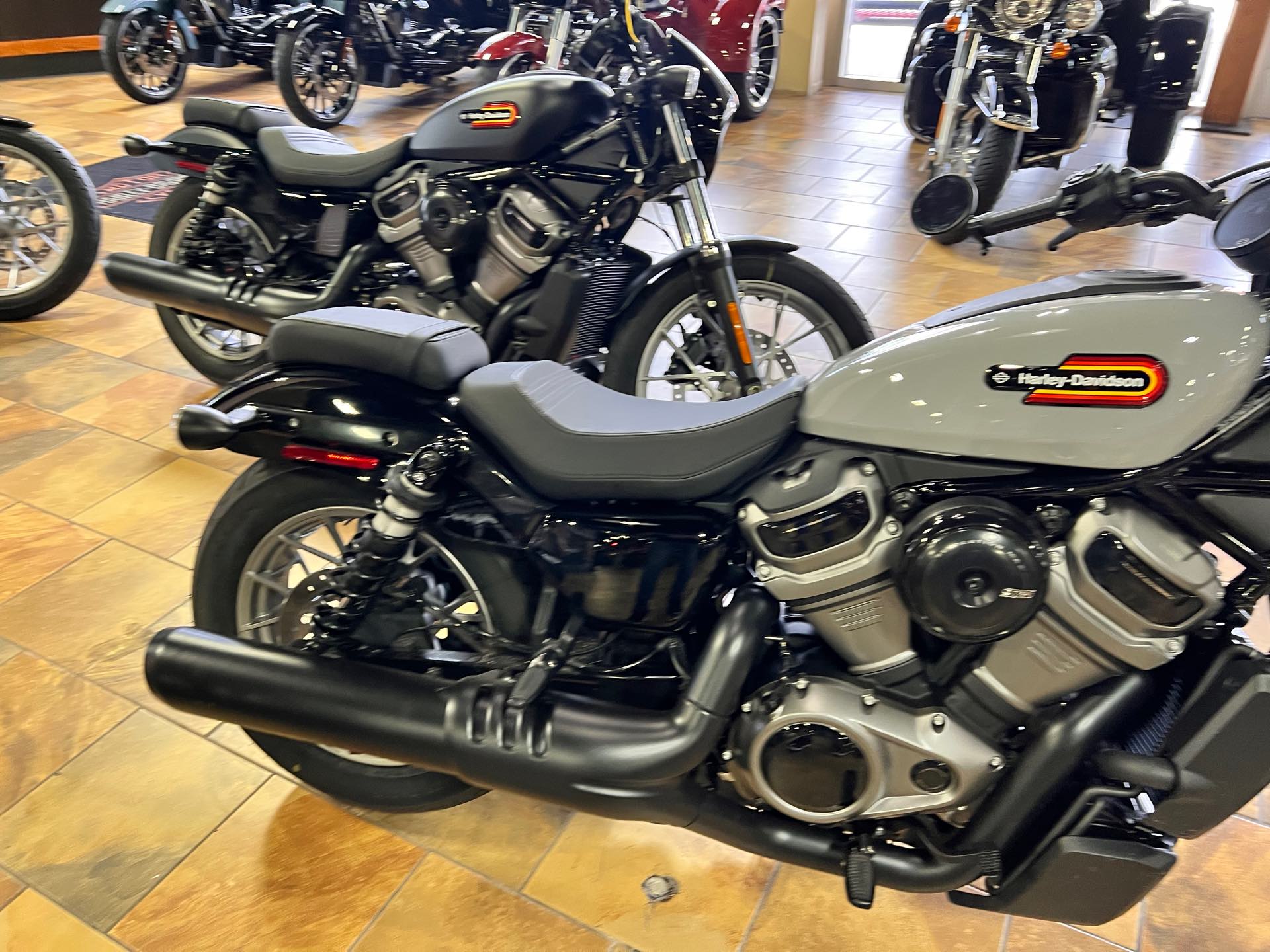 2024 Harley-Davidson Sportster at Man O'War Harley-Davidson®