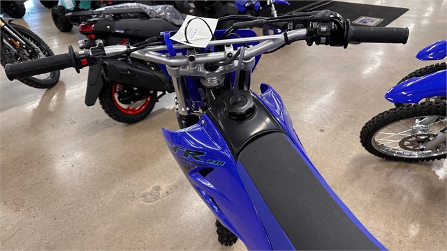 2024 Yamaha TT-R 230 at ATVs and More