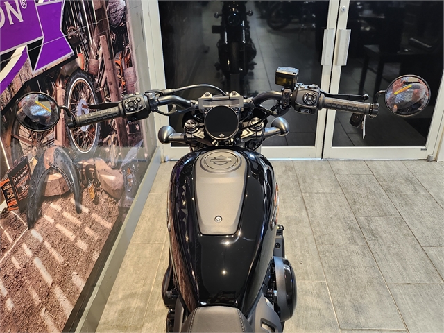 2023 Harley-Davidson Sportster Nightster Special at Phantom Harley-Davidson
