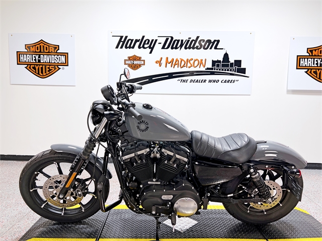 2022 Harley-Davidson Sportster Iron 883 at Harley-Davidson of Madison