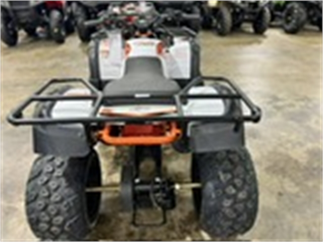 2023 Kayo Bull 150 at Sloans Motorcycle ATV, Murfreesboro, TN, 37129