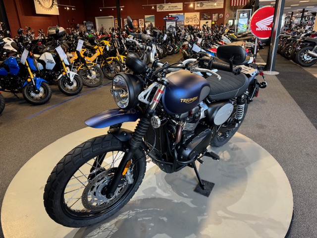 2022 Triumph Street Scrambler Gold Line at Martin Moto