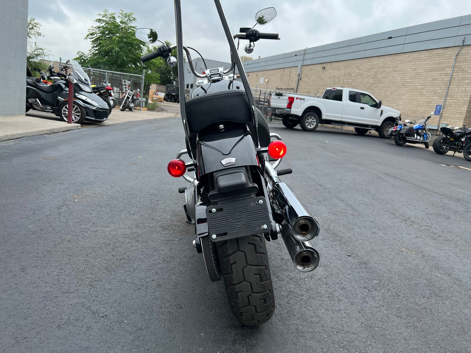 2021 Harley-Davidson Softail Standard Softail Standard at Aces Motorcycles - Fort Collins