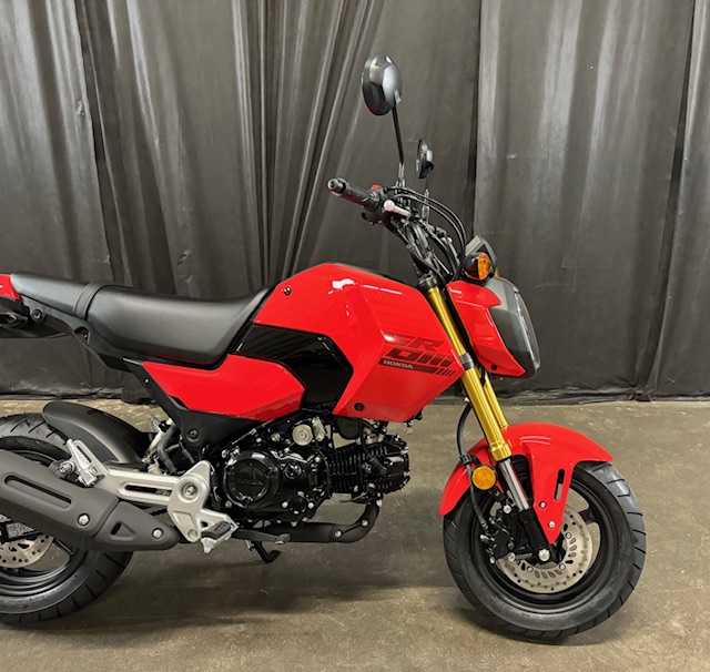 2025 Honda Grom Base at Powersports St. Augustine