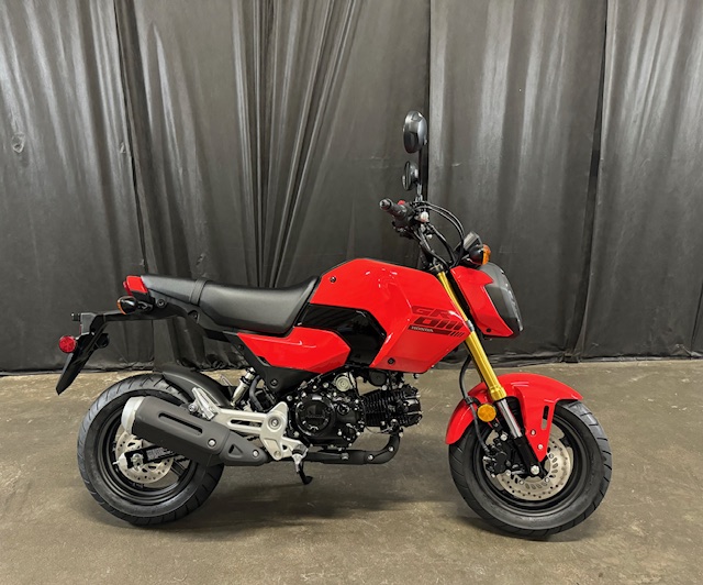 2025 Honda Grom Base at Powersports St. Augustine