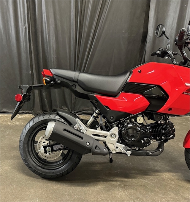 2025 Honda Grom Base at Powersports St. Augustine