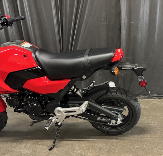 2025 Honda Grom Base at Powersports St. Augustine