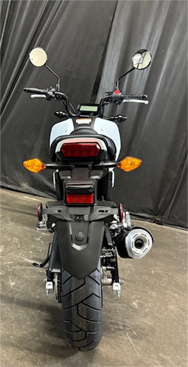 2025 Honda Grom Base at Powersports St. Augustine