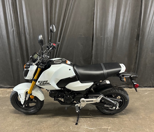 2025 Honda Grom Base at Powersports St. Augustine