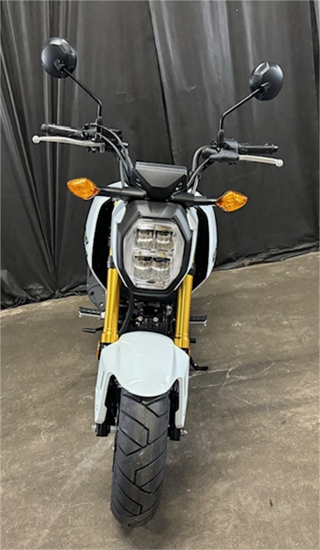 2025 Honda Grom Base at Powersports St. Augustine