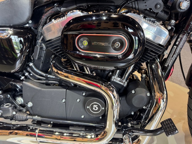 2015 Harley-Davidson Sportster Forty-Eight at Martin Moto