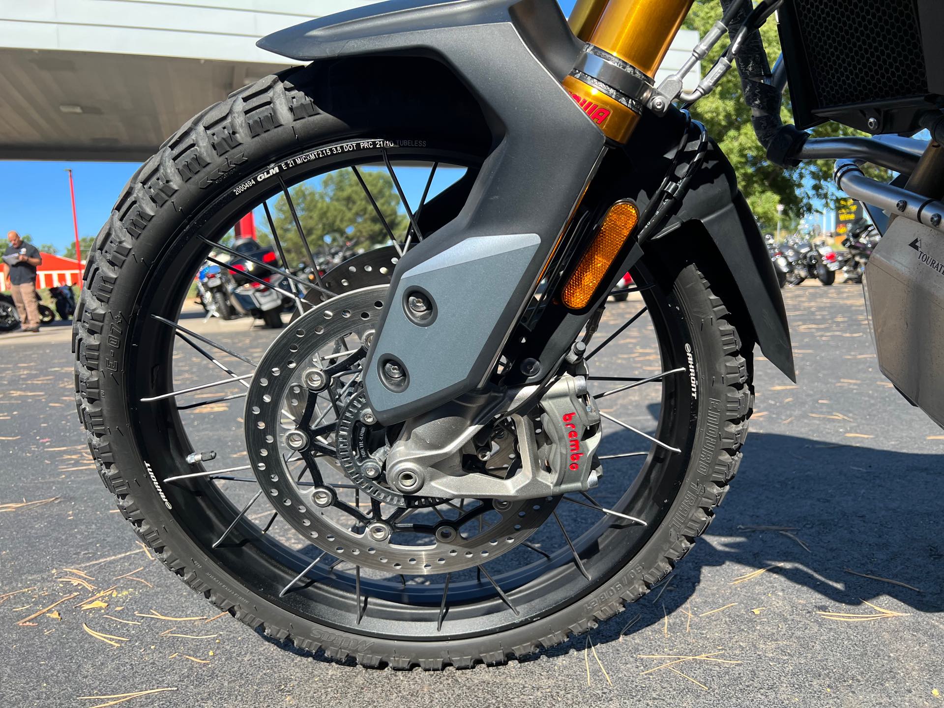 2022 Triumph Tiger 900 Rally at Aces Motorcycles - Fort Collins
