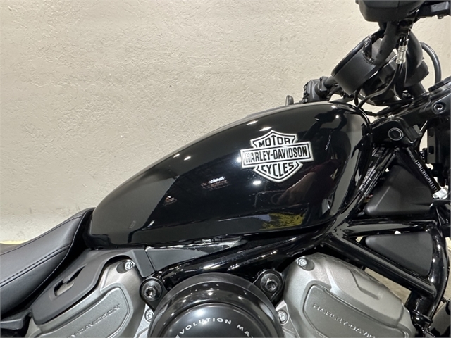 2023 Harley-Davidson Sportster Nightster at Harley-Davidson of Sacramento
