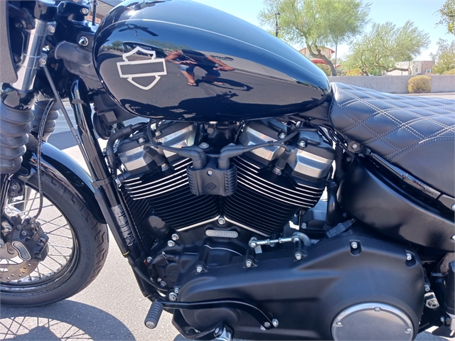 2019 Harley-Davidson Softail Street Bob at Buddy Stubbs Arizona Harley-Davidson