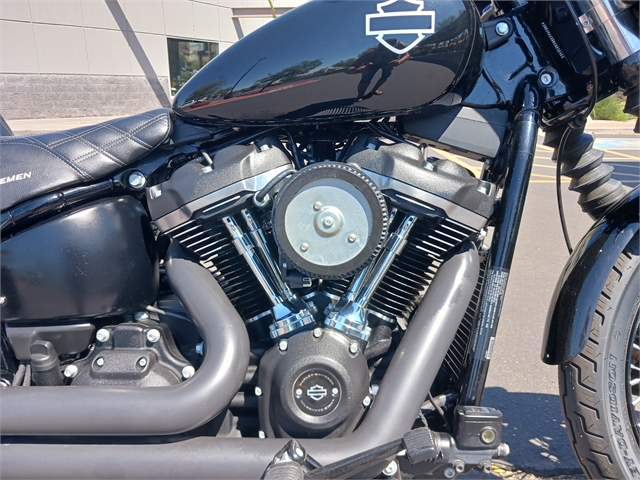 2019 Harley-Davidson Softail Street Bob at Buddy Stubbs Arizona Harley-Davidson