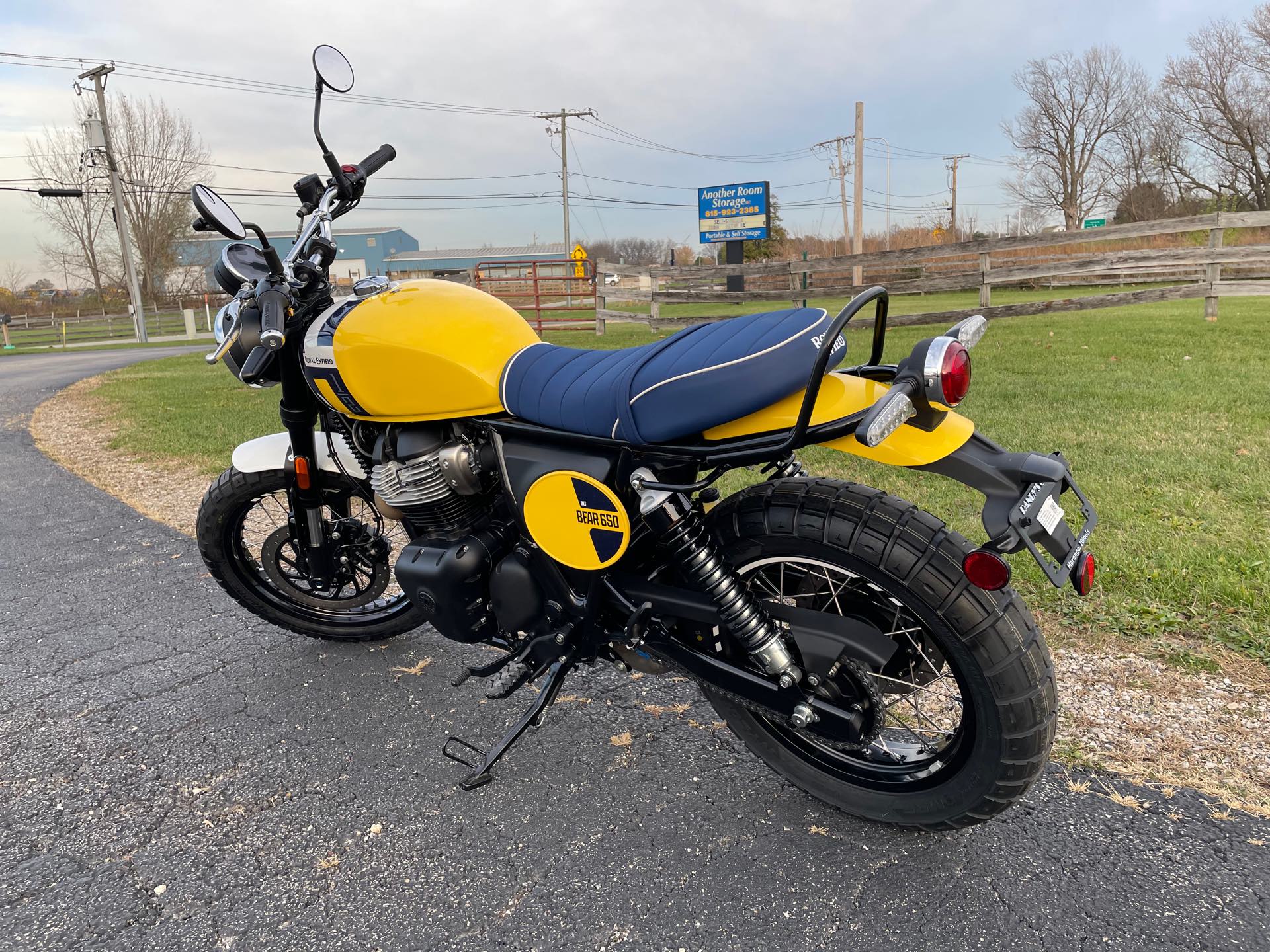 2025 ROYAL ENFIELD BEAR 650 - WILD HONEY YELLOW at Randy's Cycle