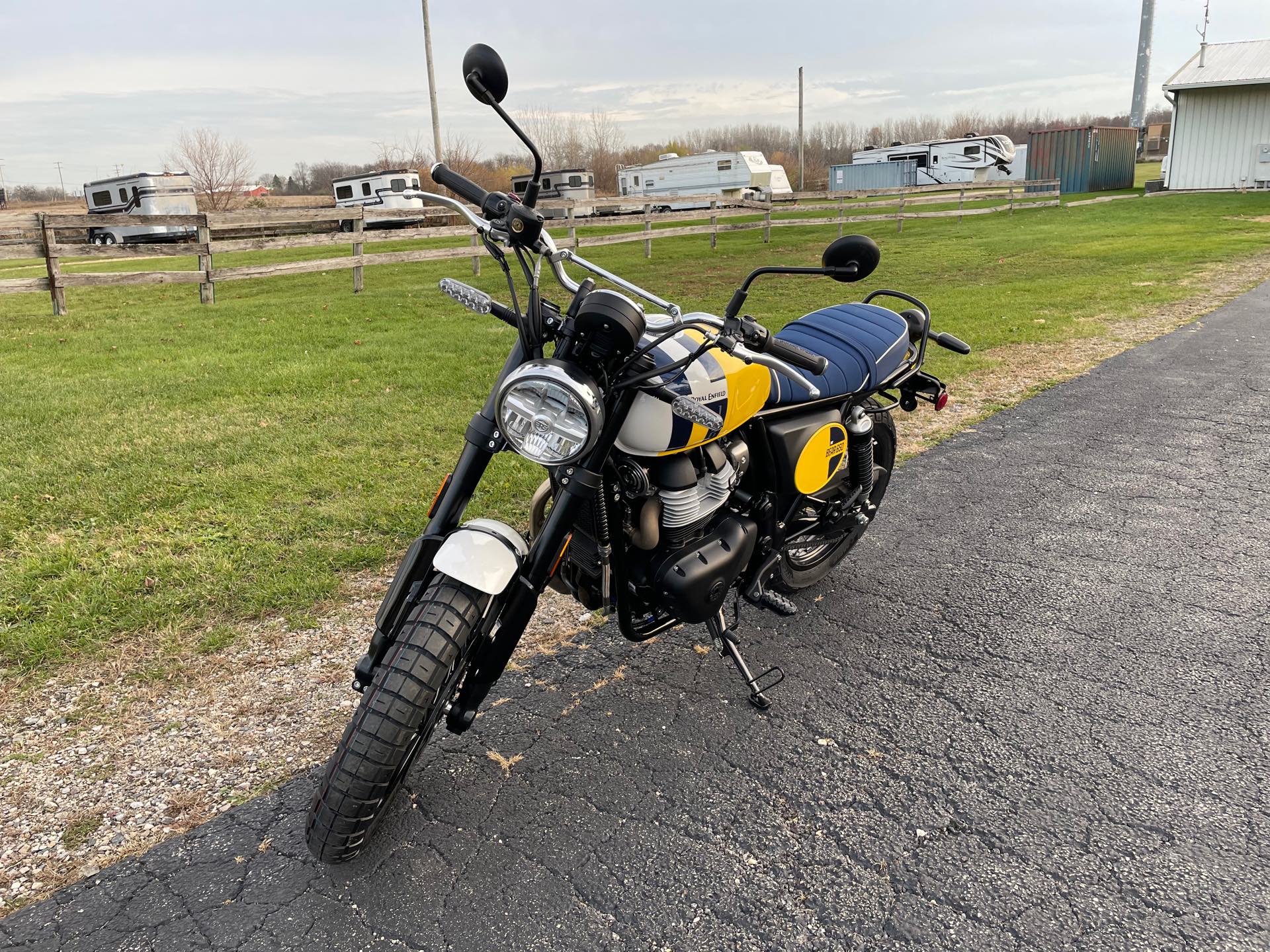 2025 ROYAL ENFIELD BEAR 650 - WILD HONEY YELLOW at Randy's Cycle