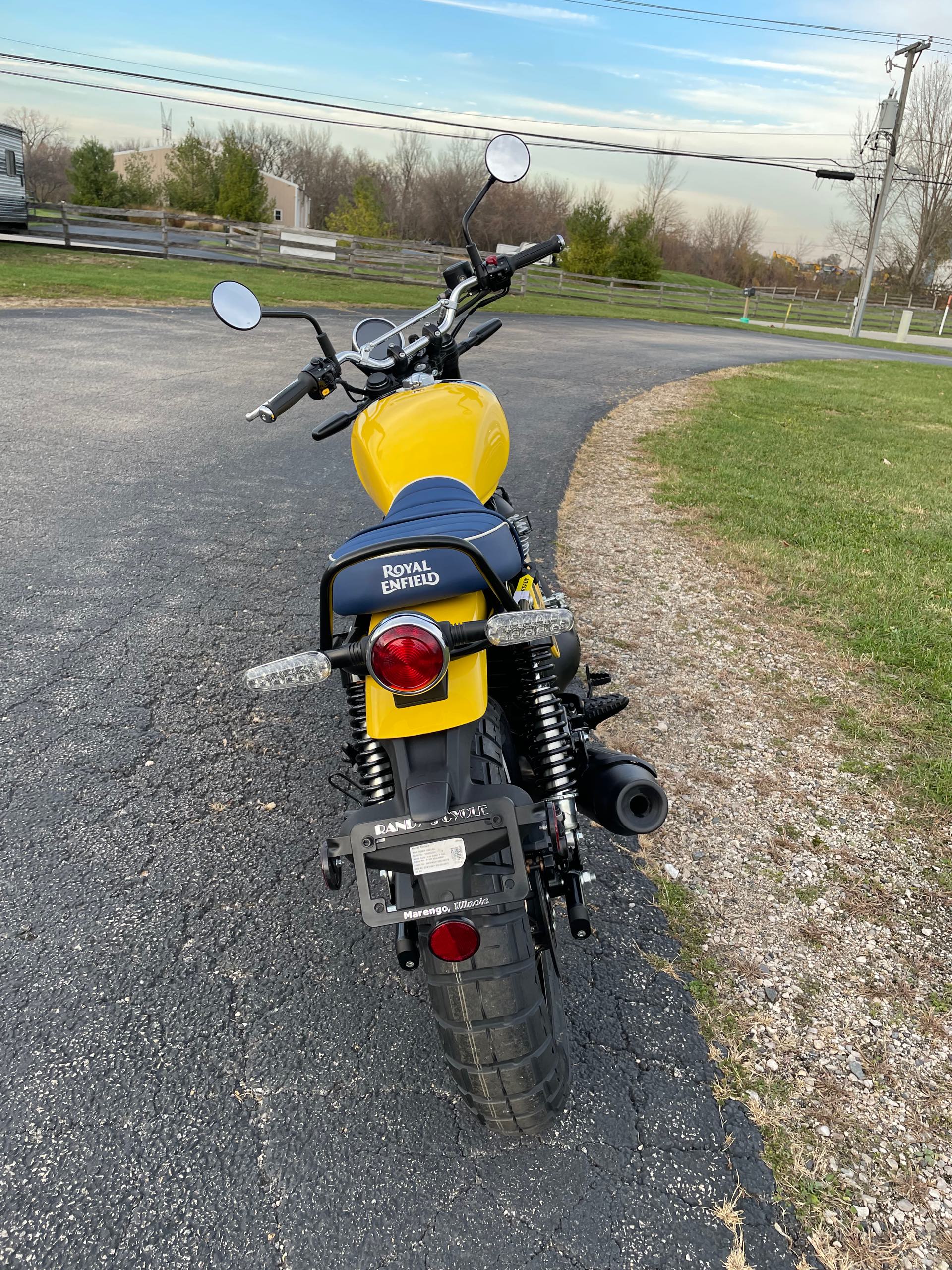 2025 ROYAL ENFIELD BEAR 650 - WILD HONEY YELLOW at Randy's Cycle