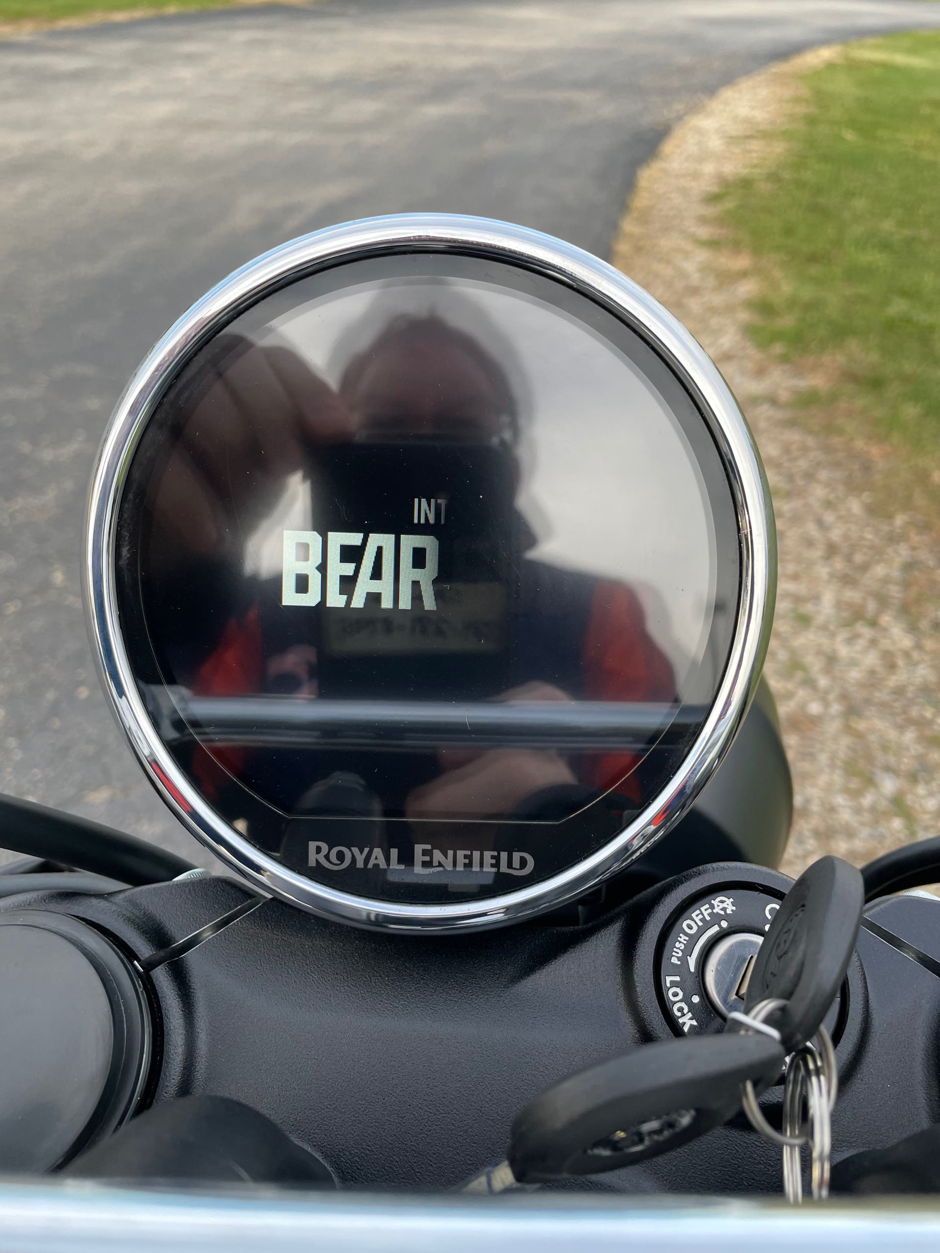 2025 ROYAL ENFIELD BEAR 650 - WILD HONEY YELLOW at Randy's Cycle