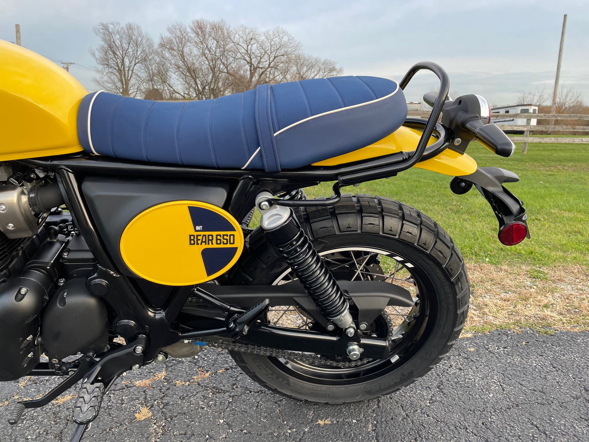 2025 ROYAL ENFIELD BEAR 650 - WILD HONEY YELLOW at Randy's Cycle