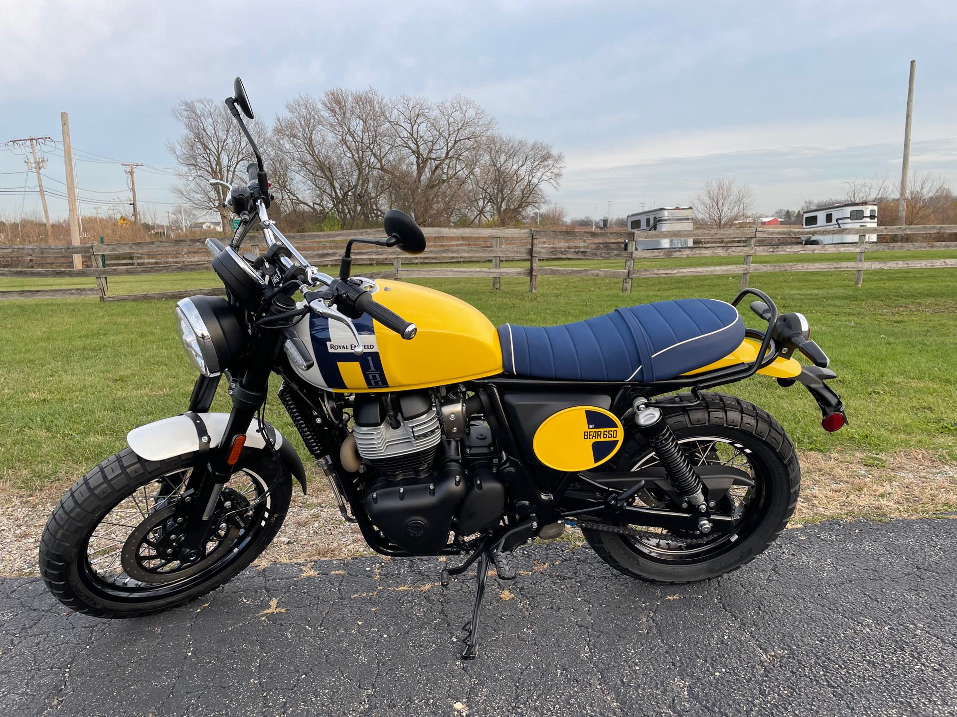 2025 ROYAL ENFIELD BEAR 650 - WILD HONEY YELLOW at Randy's Cycle