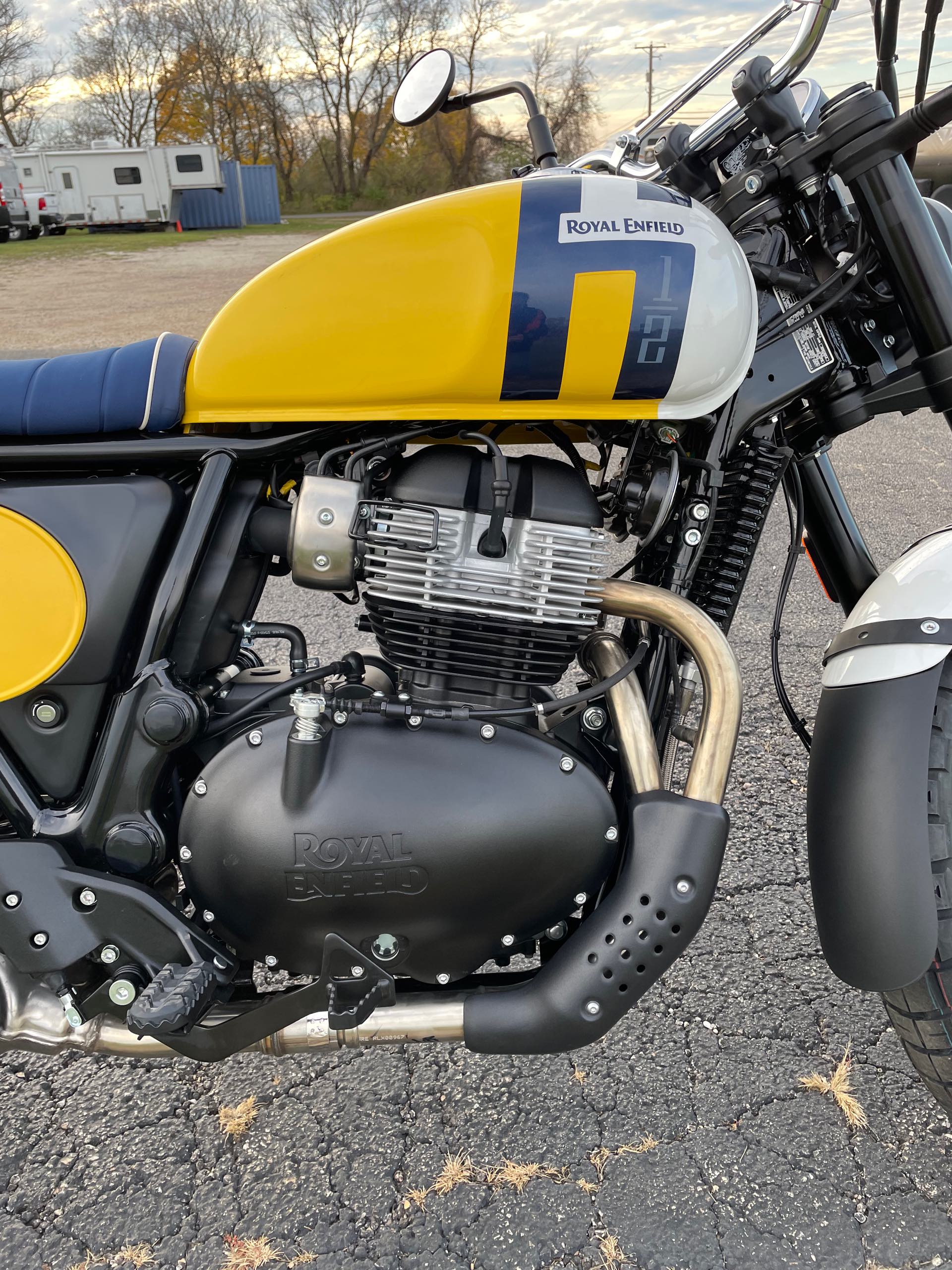 2025 ROYAL ENFIELD BEAR 650 - WILD HONEY YELLOW at Randy's Cycle