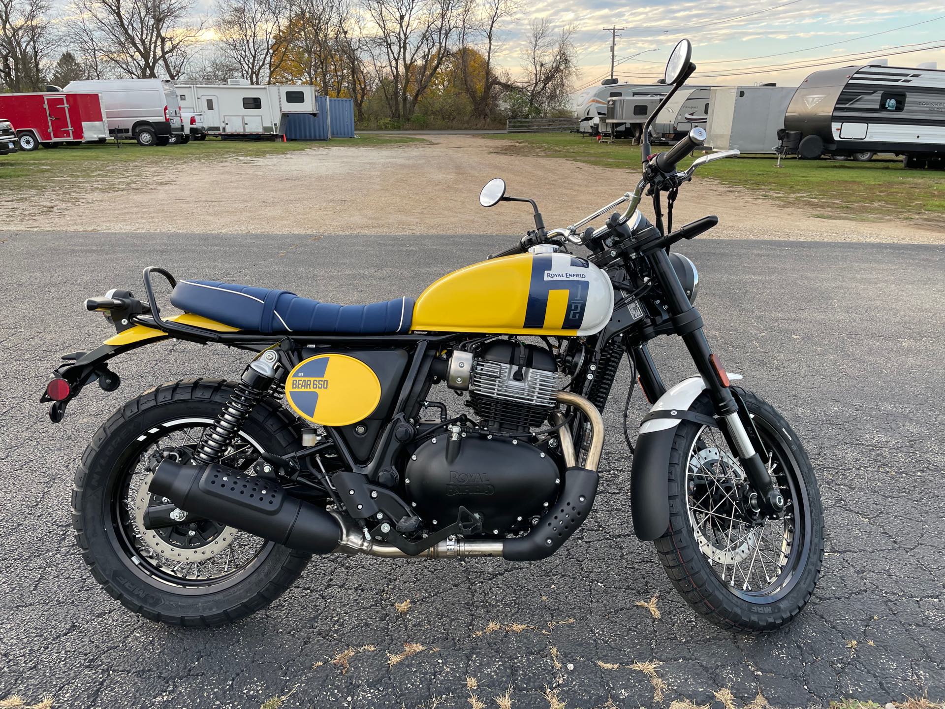 2025 ROYAL ENFIELD BEAR 650 - WILD HONEY YELLOW at Randy's Cycle