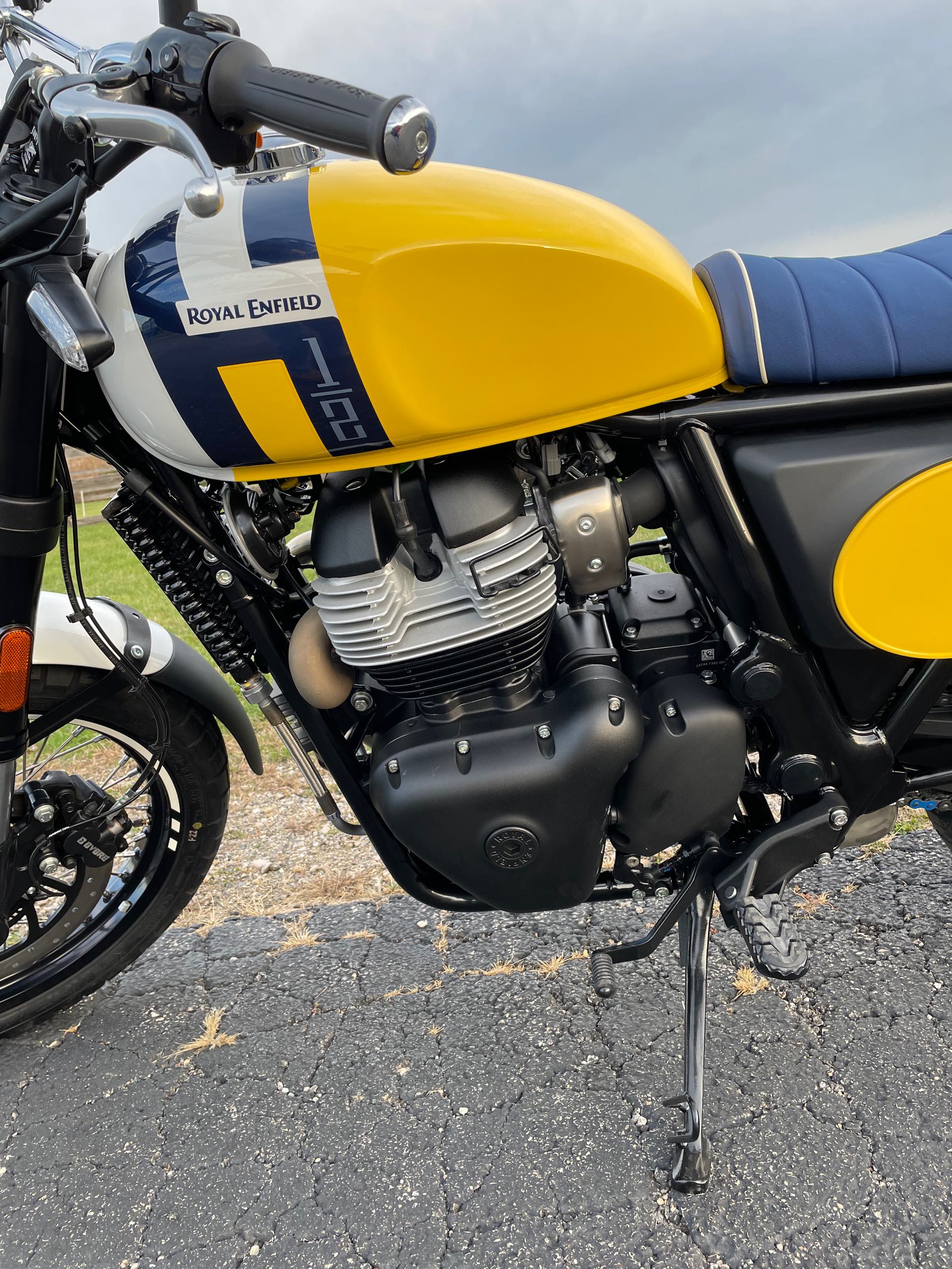 2025 ROYAL ENFIELD BEAR 650 - WILD HONEY YELLOW at Randy's Cycle