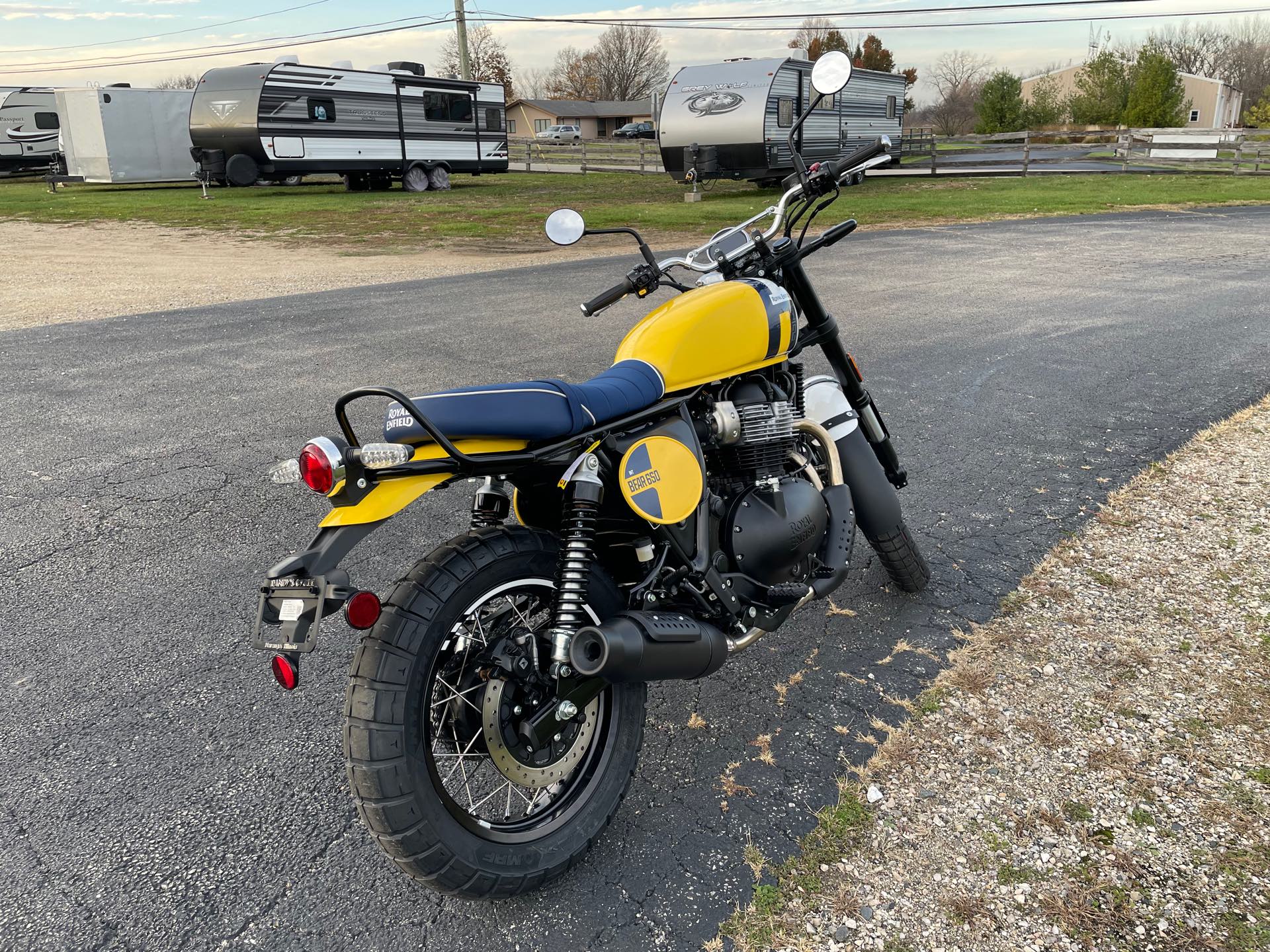 2025 ROYAL ENFIELD BEAR 650 - WILD HONEY YELLOW at Randy's Cycle