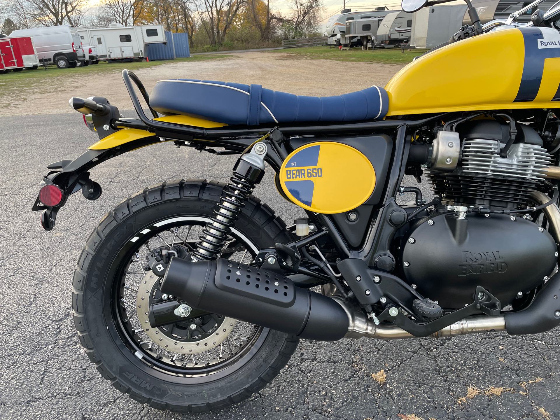 2025 ROYAL ENFIELD BEAR 650 - WILD HONEY YELLOW at Randy's Cycle