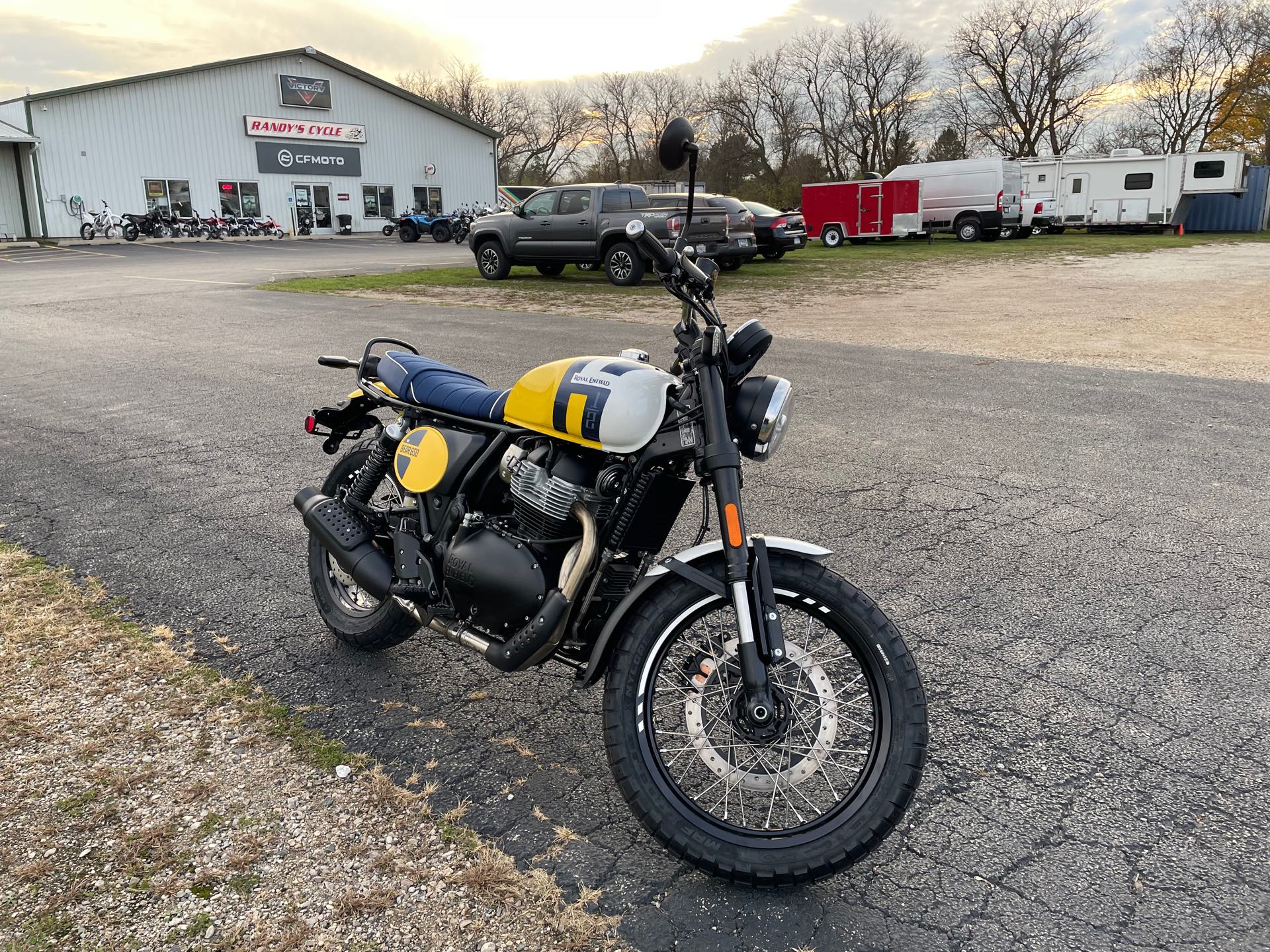 2025 ROYAL ENFIELD BEAR 650 - WILD HONEY YELLOW at Randy's Cycle