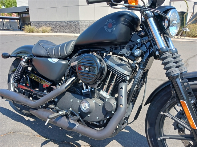 2022 Harley-Davidson Sportster Iron 883 at Buddy Stubbs Arizona Harley-Davidson