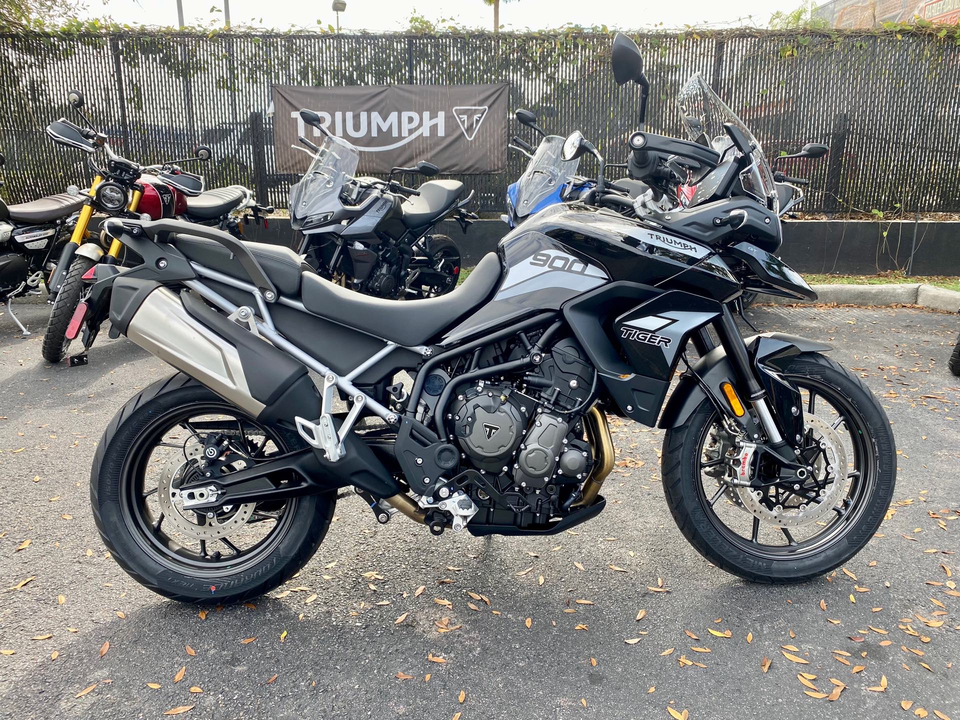 2023 Triumph Tiger 900GT LOW GT Low | Tampa Triumph