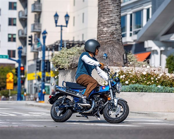 2025 Honda Dax 125 at ATVs and More