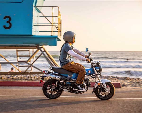 2025 Honda Dax 125 at ATVs and More