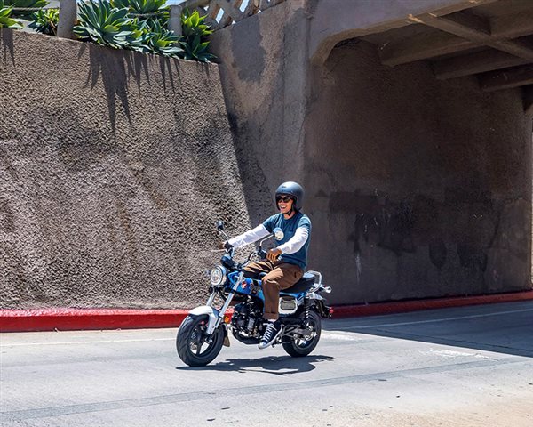 2025 Honda Dax 125 at ATVs and More