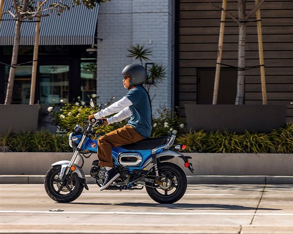 2025 Honda Dax 125 at ATVs and More
