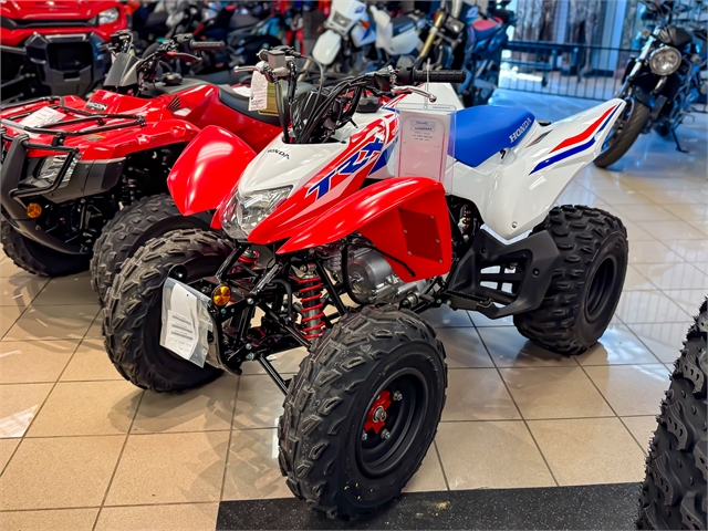 2025 Honda TRX 250X at Friendly Powersports Baton Rouge