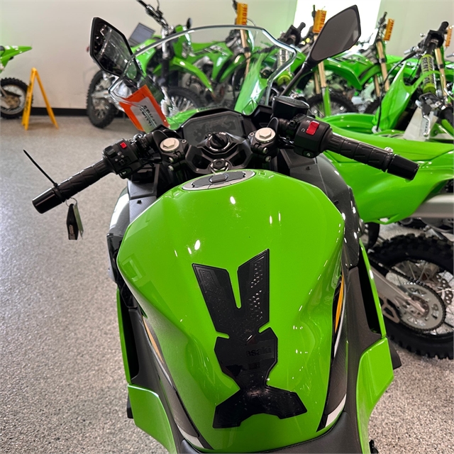 2025 Kawasaki Ninja 500 KRT Edition SE ABS at Big River Motorsports