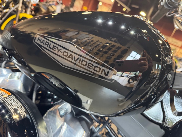 2020 Harley-Davidson Softail Standard at Martin Moto