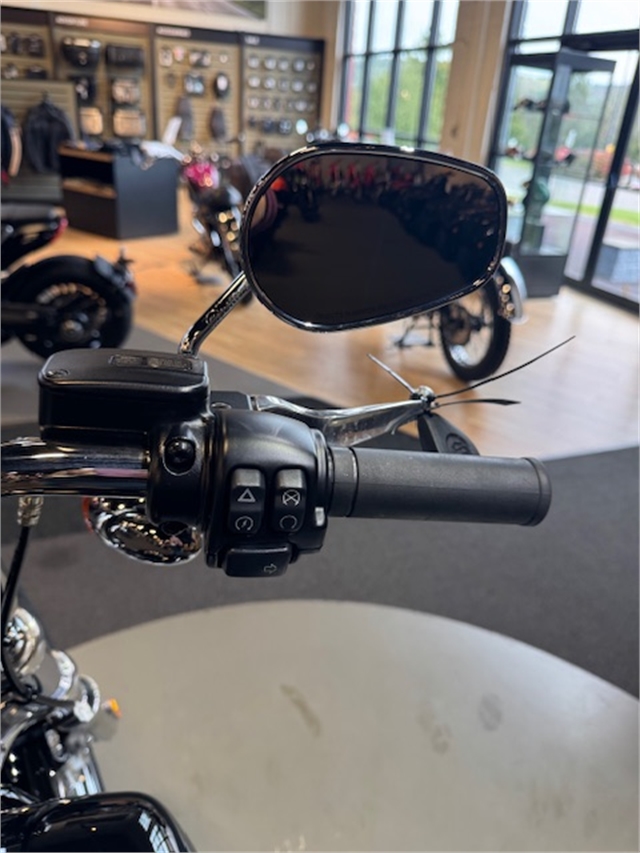 2020 Harley-Davidson Softail Standard at Martin Moto