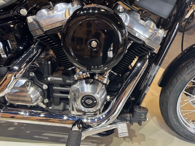 2020 Harley-Davidson Softail Standard at Martin Moto