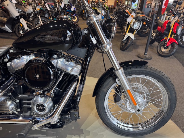 2020 Harley-Davidson Softail Standard at Martin Moto