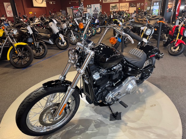 2020 Harley-Davidson Softail Standard at Martin Moto