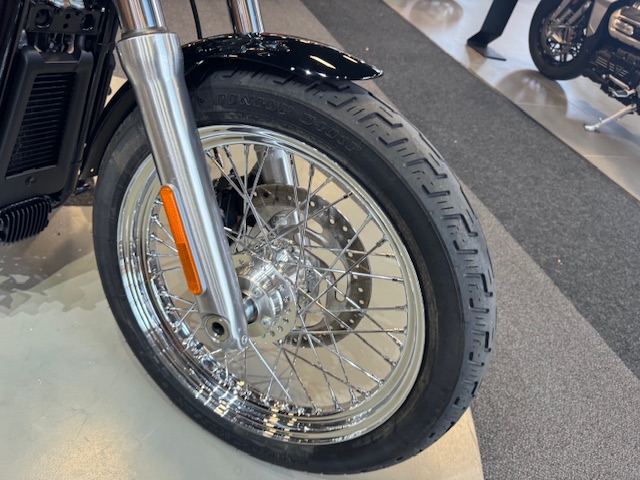 2020 Harley-Davidson Softail Standard at Martin Moto