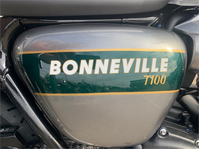 2022 Triumph Bonneville T100 Gold Line at Eurosport Cycle