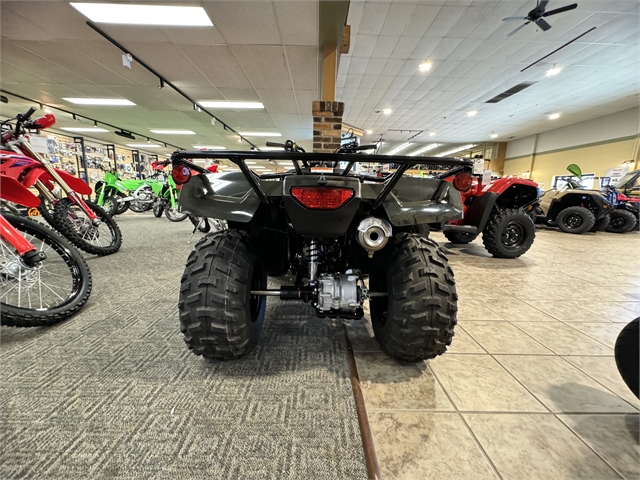 2023 Honda FourTrax Recon ES at Ehlerding Motorsports