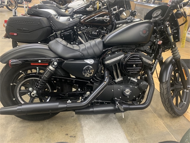 2019 Harley-Davidson Sportster Iron 883 at Zips 45th Parallel Harley-Davidson